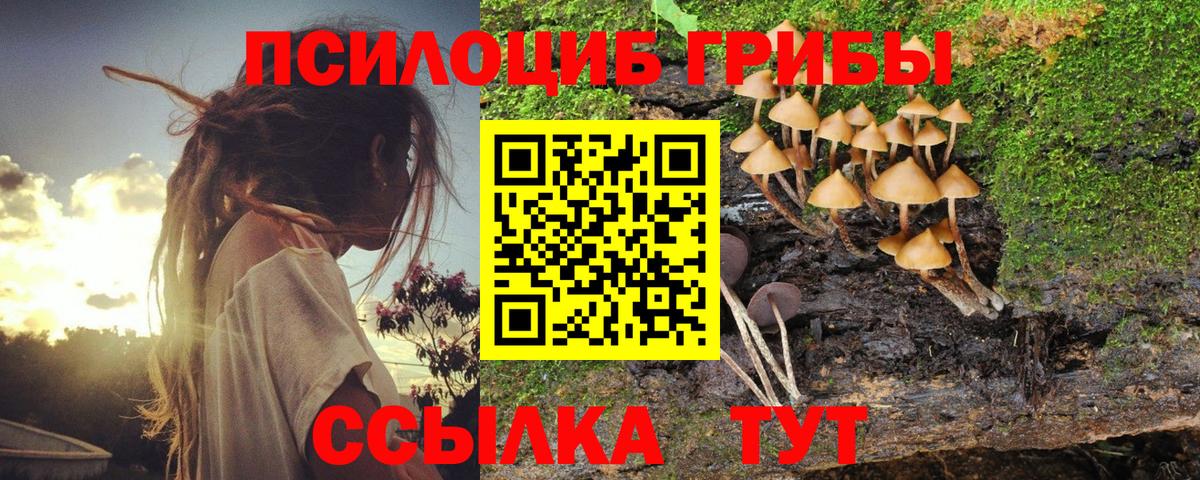 Котельники  Псилоцибиновые грибы мицелий  Галлюциногенные грибы мухоморы  Вход с VPN 